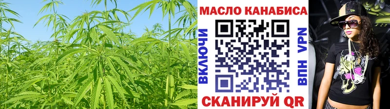 ТГК Wax  сколько стоит  Елизаветинская 